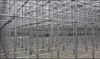 Scaffold Galvanized Construction Scaffolding Ladder Shoring System