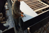 High Quality Cheap Price Pp Hollow Plastic Plywood Construction