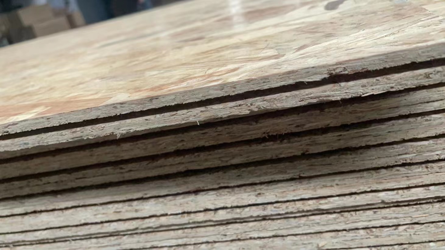 Customized T&G OSB LVL plank plywood shuttering floor board