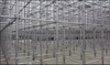 Factory Direct Sales Galvanized Construction Metal Scaffoldings