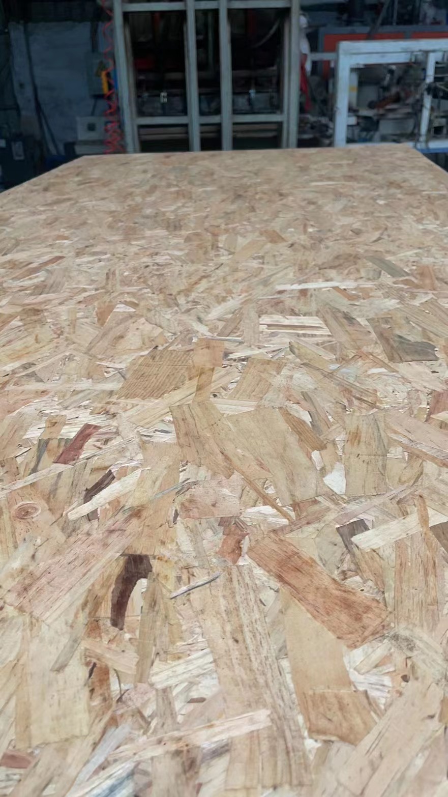 Customized T&G OSB LVL plank plywood shuttering floor board