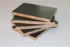 Plywood Biz Standard Film Faced Plywood Marine Plywood Plywood Board