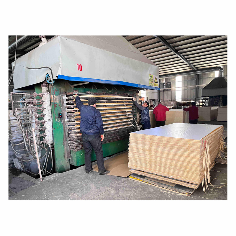 18mm Construction Birch Machine Plywood Sheet