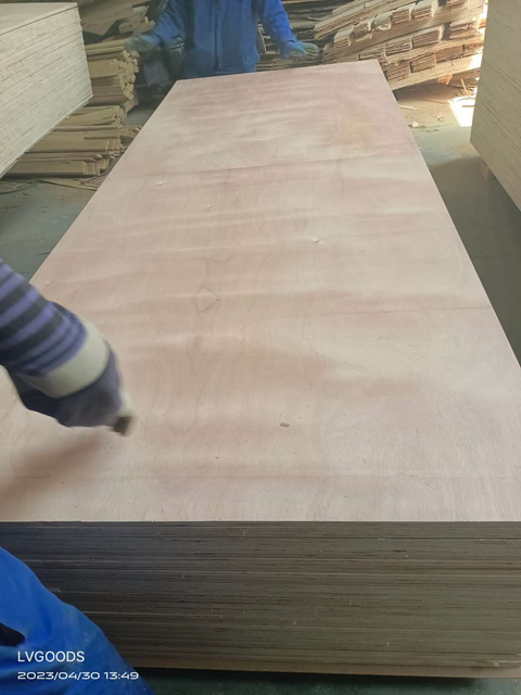 Chinese factory furniture grade 1220x2440mm melamine/HPL laminated plywood MDF chipboard furniture cabinat plywood