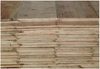 Cutomized size phenolic Thickness 9/12/15/18/21mm of Filmfaced Plywood in construction